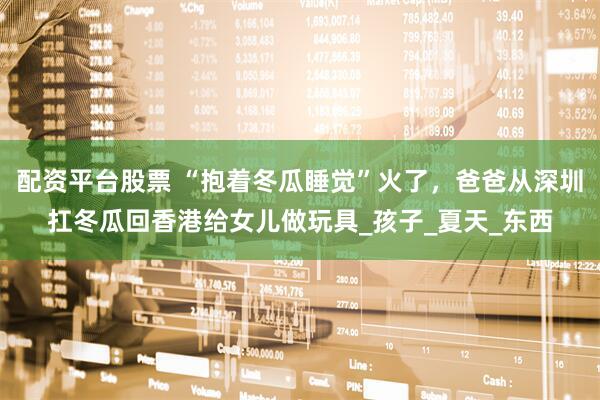配资平台股票 “抱着冬瓜睡觉”火了，爸爸从深圳扛冬瓜回香港给女儿做玩具_孩子_夏天_东西